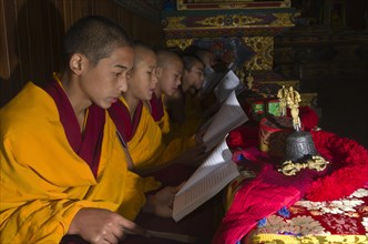 Young Tibetan monks reading the holy scriptures in Tibetan language in monastery near Boudnath Stupa