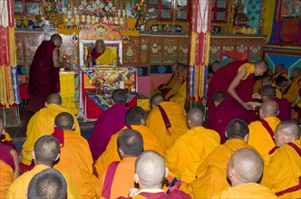Monks wearing yellow cloths listening the teachings of Taklung Tsetru Rinpoche in Junbesi Gompa