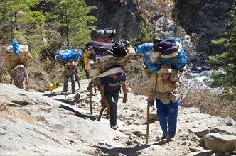 Porters carrying heavy load up an ascending track above Namche Bazar (3.440 m)