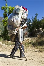 Nepali Porter carrying a big load from Kinja up to Lamjura La (3530m)