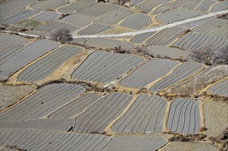 Agricultural used fields around Kaghbeni