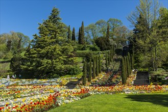 Landscape gardening and blooming flowers