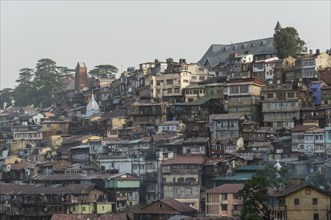Cityscape of Shimla