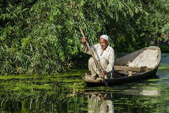 A man paddeling in a shikara boat on a canal near Dal Lake