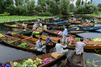Shikara boats at a floating market on Dal Lake