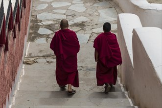 Two monks walking down some stairs in Thiksey Gompa monastery