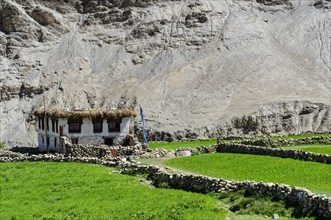 A farmer's house surrounded by green fields