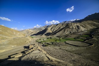 A small village with green fields in a barren landscape at an altitude of 4.000 m