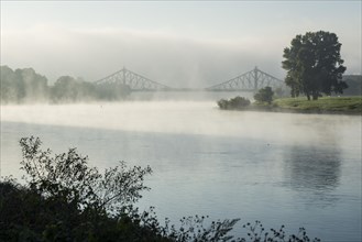 Morning fog on the Elbe river