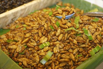 Fried silkworms at a Thai market