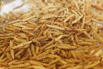 Fried maggots at a Thai market