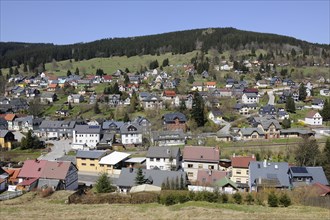 Townscape of Manebach
