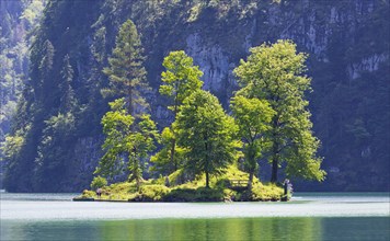 Small tree-covered island in Koenigssee lake