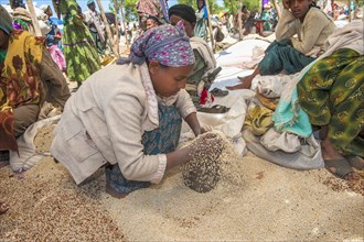 Women selling grains