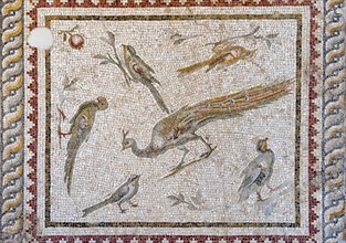 Mosaic of Birds and flowers from Daphne or Harbiye