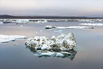 Ice floes at Cape Waring