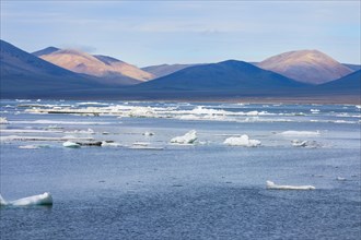 Ice floes off Wrangel Island