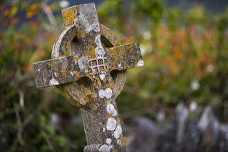 Celtic Cross at Ballinskelligs Abbey