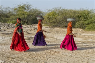 Fakirani women in traditional colorful clothes walking in the desert with a basin on their head