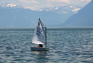Dinghy 'Optimist' sailing on Lake Geneva near Morges