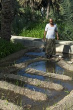 Omani man controlling the irrigation canals in the garden of an oasis