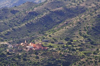 Village surrounded by terraced fields
