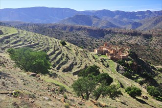 Terraced fields
