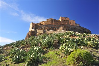 Ksar Tizourgane surrounded by Prickly Pears