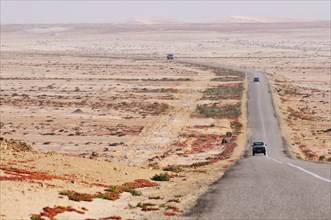 Paved country road in Western Sahara