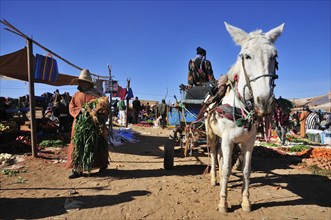 Donkey cart at the weekly market in Agdz