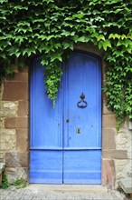 Blue door with ivy