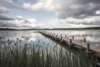 Jetty with reeds at Woerthsee Lake