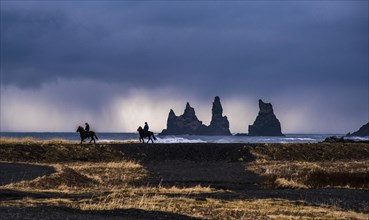 Two horserider riding Icelandic horses on the coast