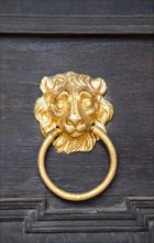 Nassau lion as door knocker