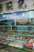 Glass tanks in a restaurant with fish and seafood