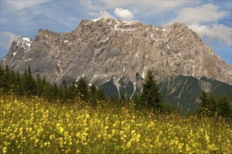 Wetterstein Moutains with Zugspitze Mountain