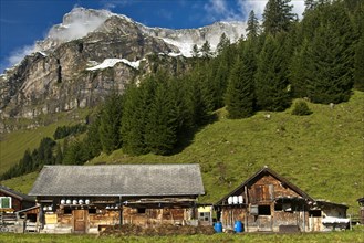 Houses and farm buildings on the Urnerboden mountain pasture