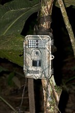 Bushnell Trophy Cam HD camera trap to record wildlife