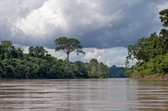 Landscape at the Tambopata River