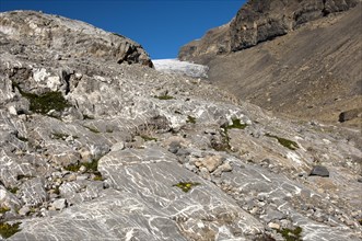 Glacial landscape with rocks carved by Tsanfleuron Glacier