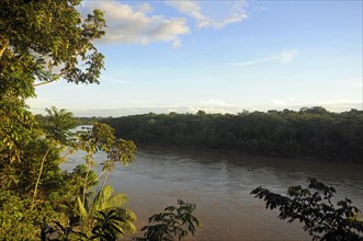 Landscape alongside the Tambopata River