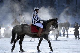 Rider during a polo tournament