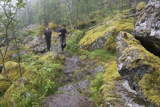 Hikers climbing a mountain path to Hardangervidda mountain plateau