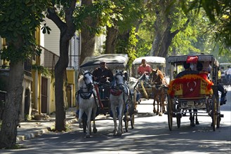 Horse-drawn carriages