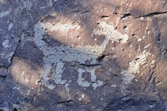 Petroglyphs