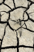 Footprint in dry