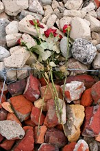 Roses lying on the foundation of the camp commemorating prisoners of KZ Neuengamme