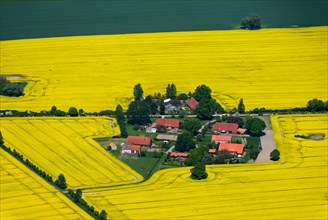 Village of Bakendorf amidst flowering fields of rape