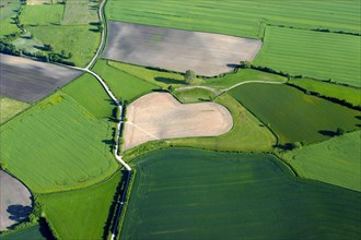 Aerial view of a heart-shaped field