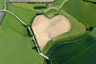 Aerial view of a heart-shaped field